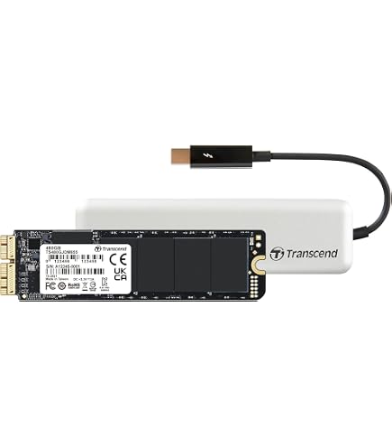 Amazon.in: Buy Transcend 256GB M.2 2242 Internal (SSD) Solid State